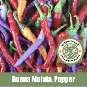 Buena Mulata, Pepper